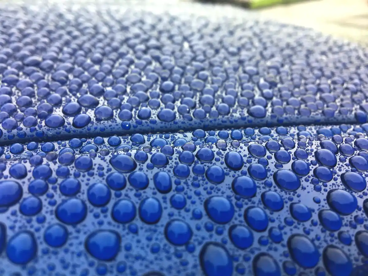 Dynamic Customs - CA — Gilroy CA