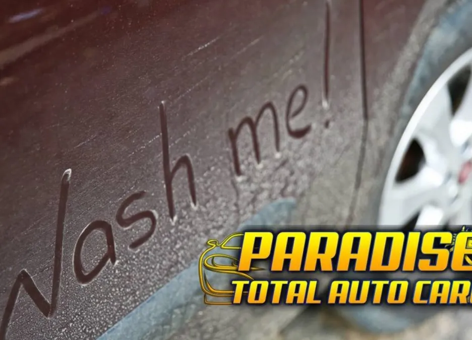 Paradise Total Auto Care — San Antonio TX