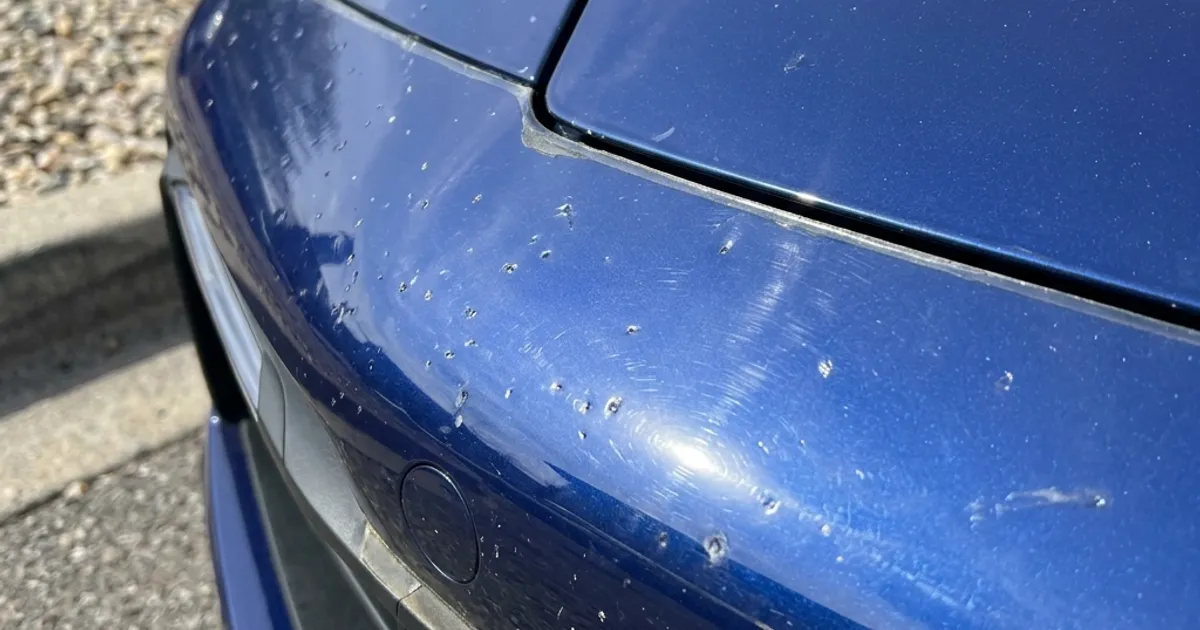 PPF longevity and protection over years