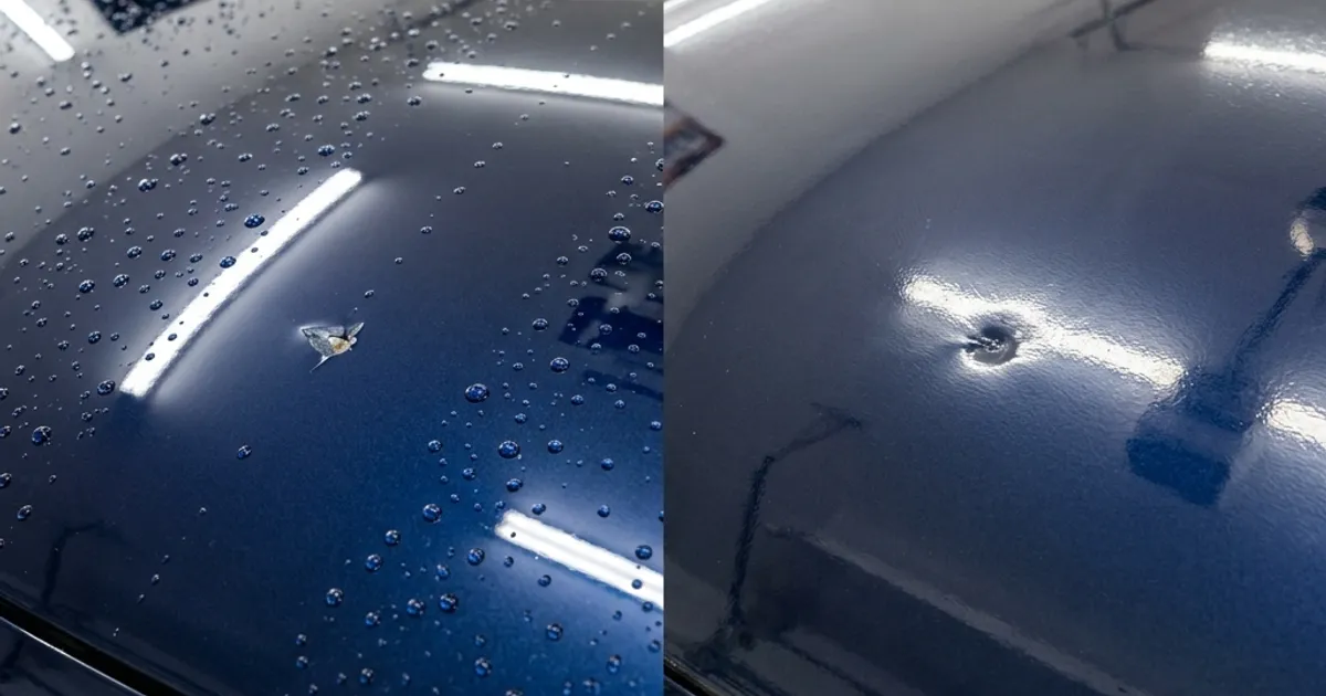 Ceramic coating versus PPF comparison